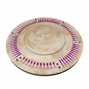 Форма Булавка 39х30 Букашка 33x20мм ЦБ