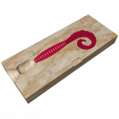 Форма Curly Grub Форма Curly Grub