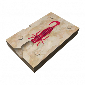 Форма Larva Lux