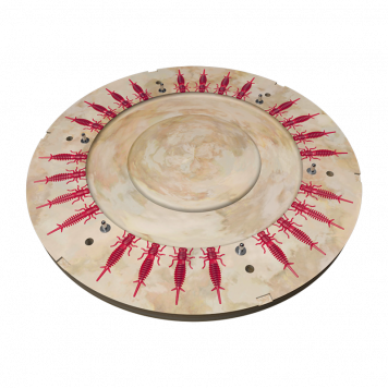 Форма Larva 24х42 мм ЦБ