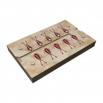 Форма Плавунец 10 приманок