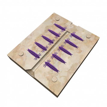 Форма Ручейник 10 приманок